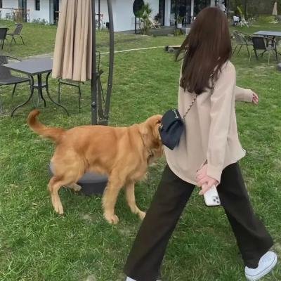动灵守护者