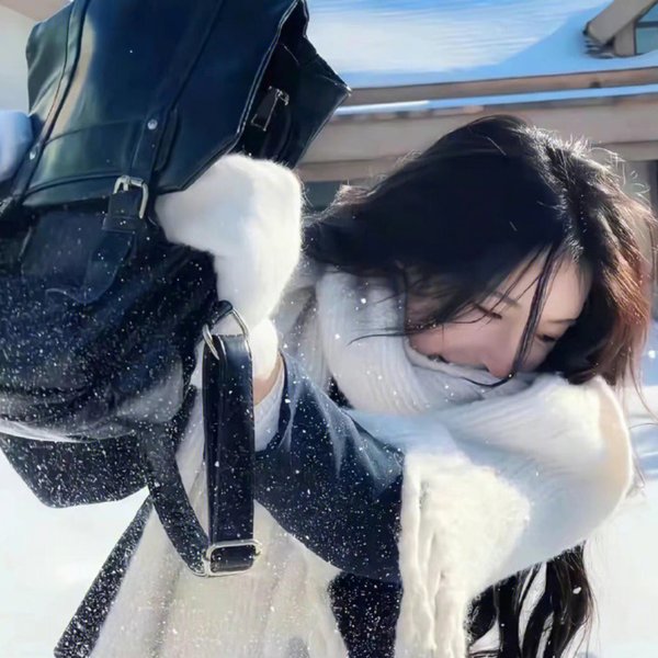 女驸马